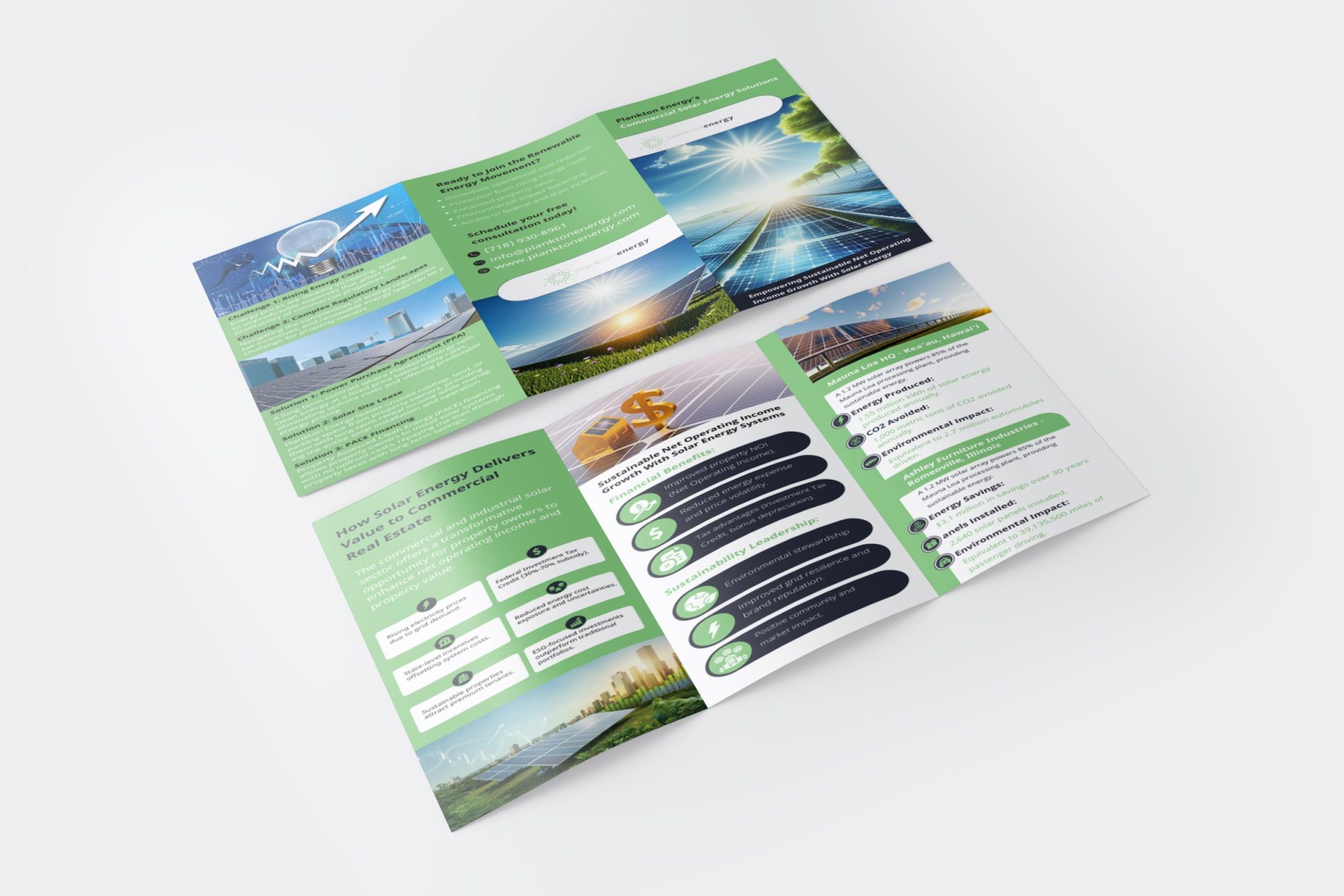 Brochure Design